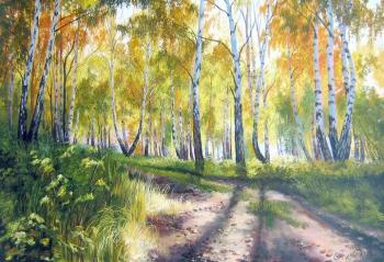 ������� �170 ����