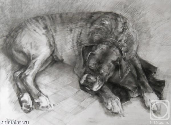 Voronova Oksana. Sleeping Mona