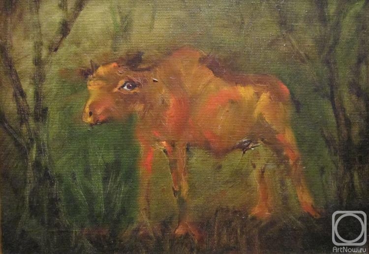 ������� ������ �� ������. ������ ����������. ������ �����