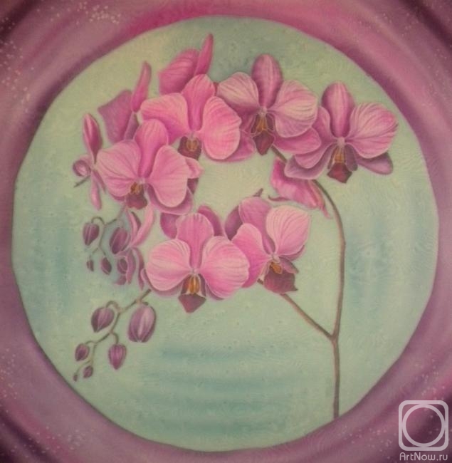 �������� �������. ������ "�������"