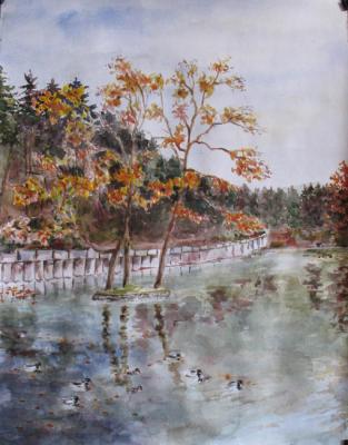 ������� ���� ���������