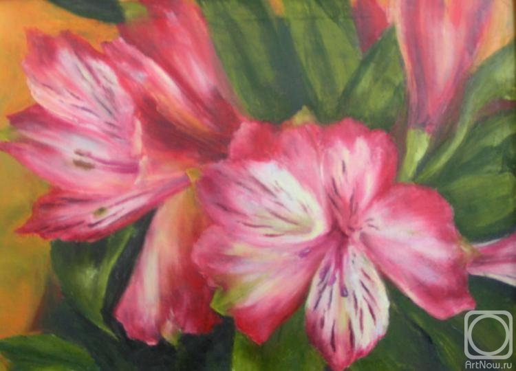 Gharagyozyan Anoush. A red flower