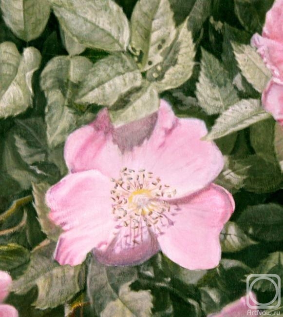 Kudryashov Galina. Rosehip blooms (fragment)