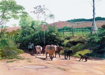 Herd of Cattle. Yarovoy Sergey