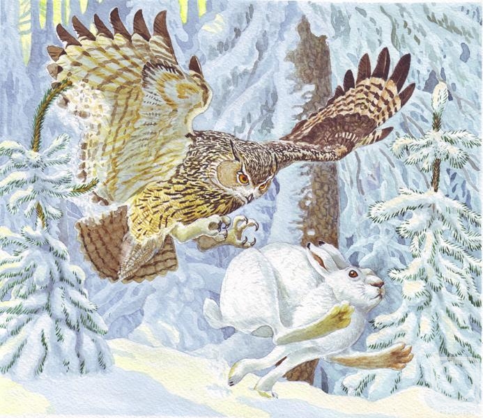 Fomin Nikolay. An eagle-owl and a hare