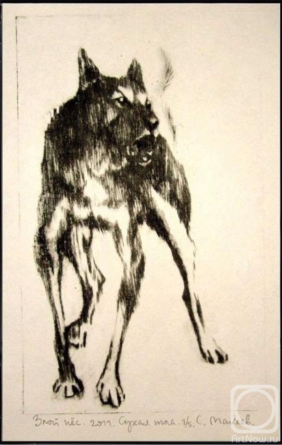 Makeev Sergey. An angry dog. 2011