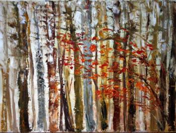 ������� ����