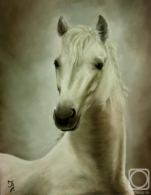 Vasilyeva Irina. Horse No11