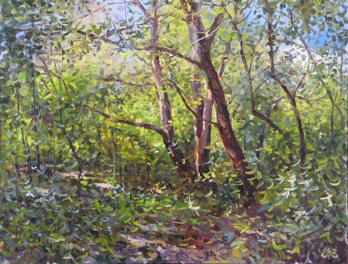 ������� ������ �� ������. ������� �������. ��������� �������