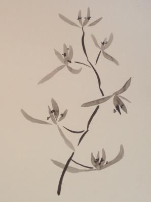 416 (Orchid 2). Lukaneva Larissa