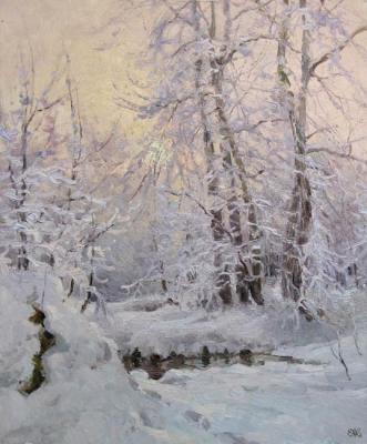 ������� �������� ����