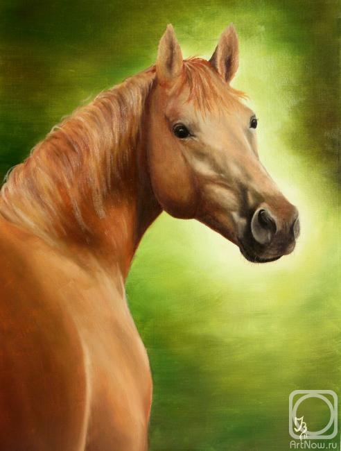 Vasileva Irina. Horse #12