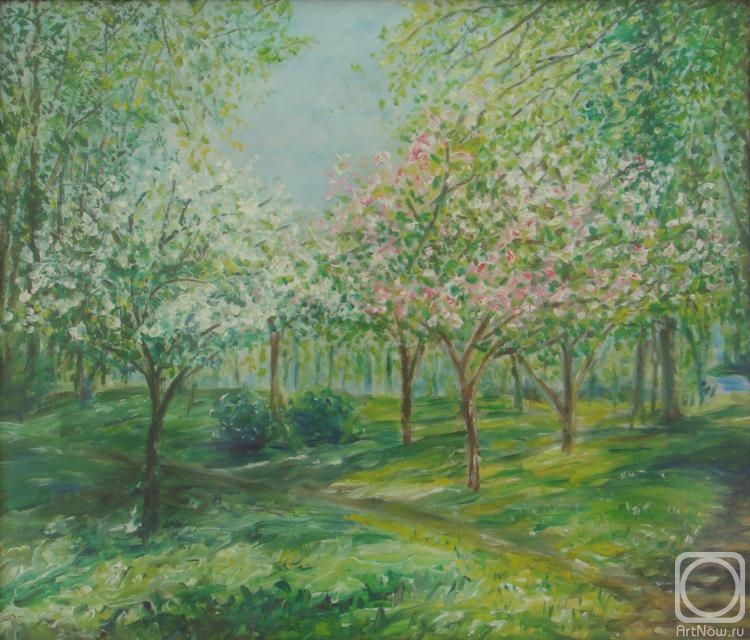 ������� ������ �� ������. �������� �����. ��������� ���