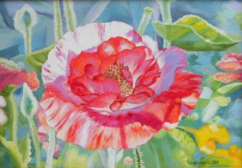 ������� ����,���������� � ������