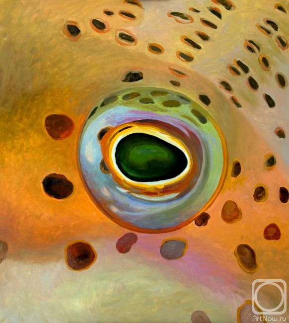 ������� ������ �� ������. �������� ������. ������