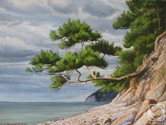 Chernyshev Andrei. Pine by the sea, overcast