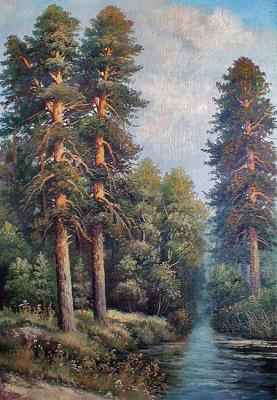 Pine trees on the shore. Yanulevich Henadzi