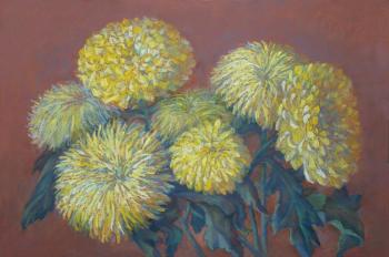 Chrysanthemums. Volfson Pavel