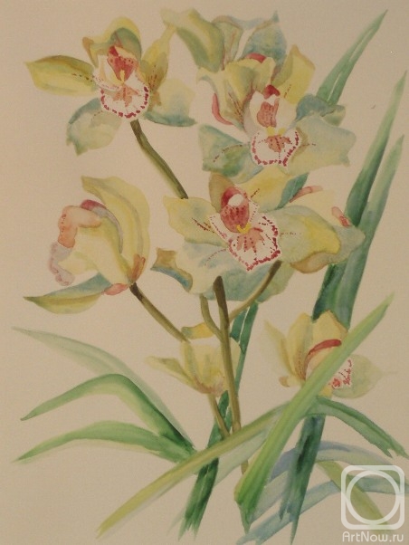 �������. �������� ������. 423 (�������)