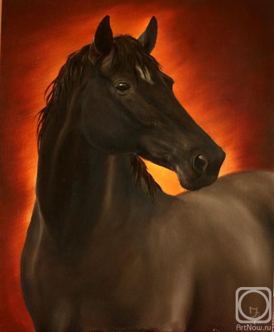 ������� ������ �� ������. ��������� �����. ������� �13