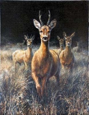 ����. ��������� �������