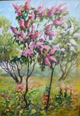 Lilacs in Kolesov's garden. Izmailovo. Kardashook Alexander