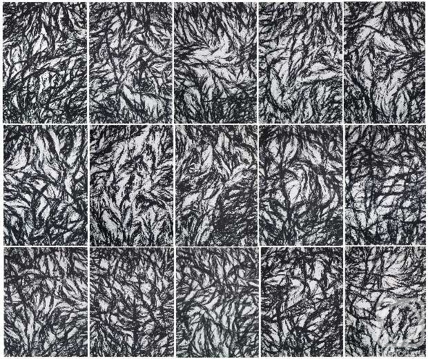 �������. ������ ����. ��� �������� OF-A507