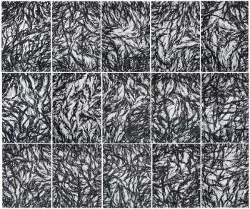 ������� ���� �������� OF-A507�