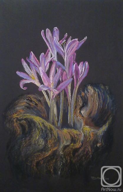 �������. ������� �������. ������