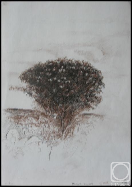 �������. ��������� �����. ������