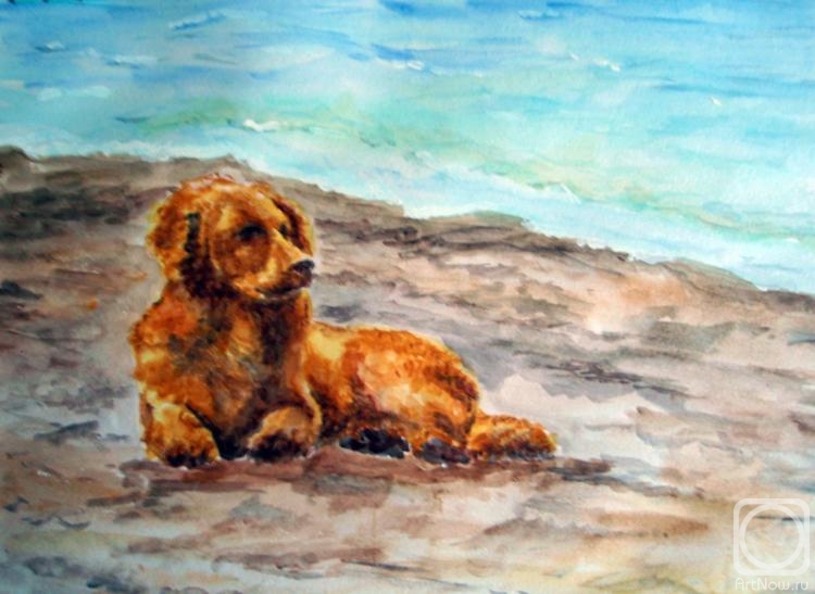 �������. ���������� �������. �����