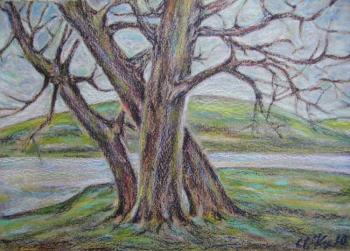 ������� ������