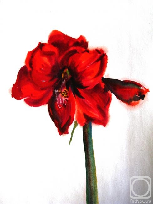 �������. �������� ����. ������