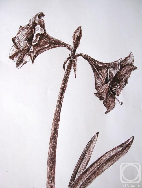 �������. �������� ����. ������� ��� ��������