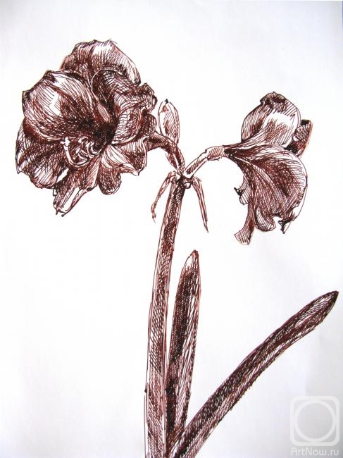 �������. �������� ����. ������� ��� ��������