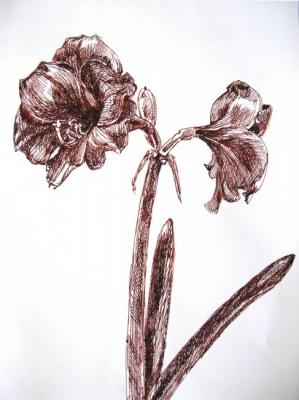 ������� ���� ���������