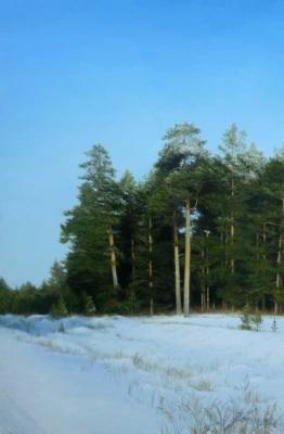 Winter pine wood. Lobanov Roman