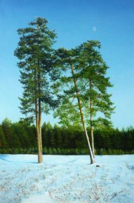 Four pines. Lobanov Roman