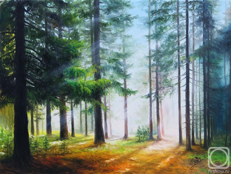 ������� ������ �� ������. ������� �����. ��������� ���