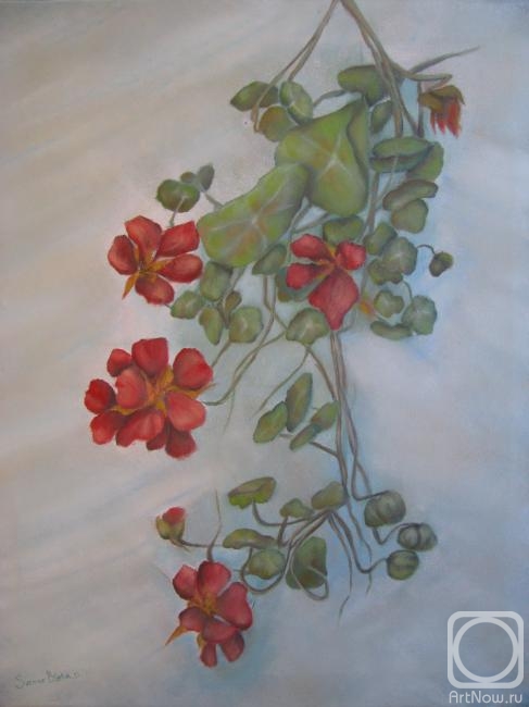 ������� ������ �� ������. ����� ������. �������