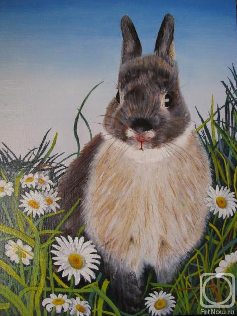 �������. �������� ������. ������