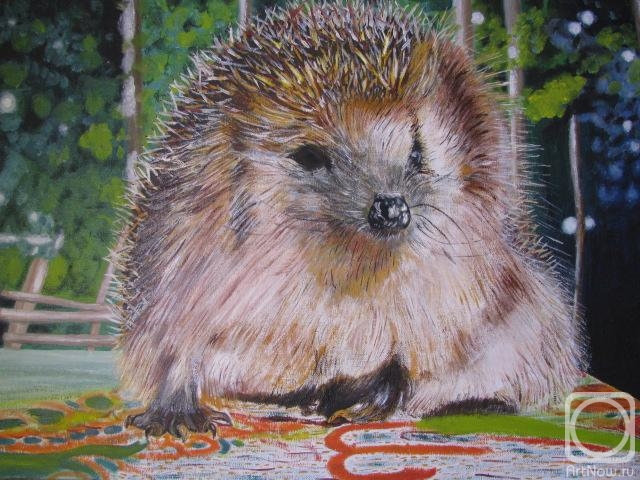 ������� ������ �� ������. �������� ������. ���� � ����