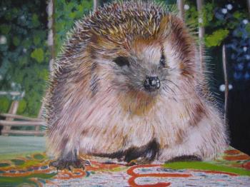 Hedgehog in the garden. Bandurko Viktor