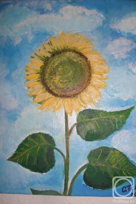 ������� ������ �� ������. �������� ��������. ���������