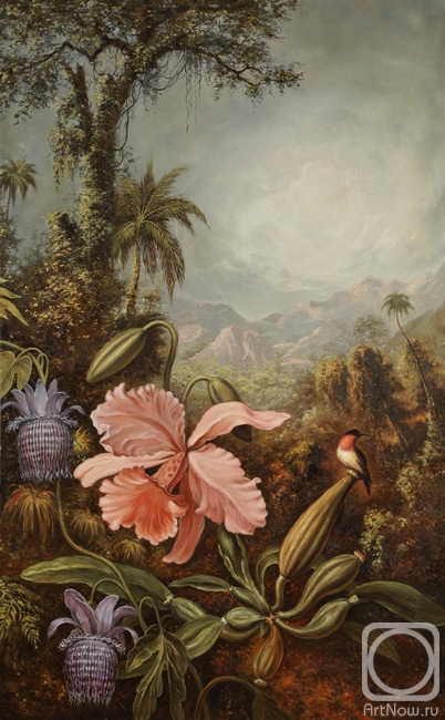 Aleksandrov Vladimir. Orchid and hummingbird