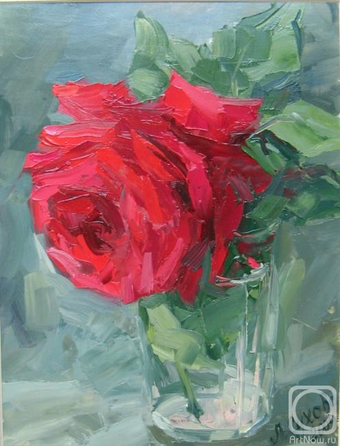 �������. ������ ������. ���� � �������, ������ ����� (����)