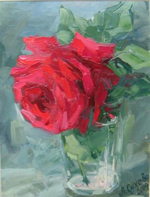 ������� ����� � �������, ������ ����� (����)�