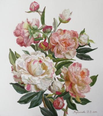 ������� ������ ������ ������