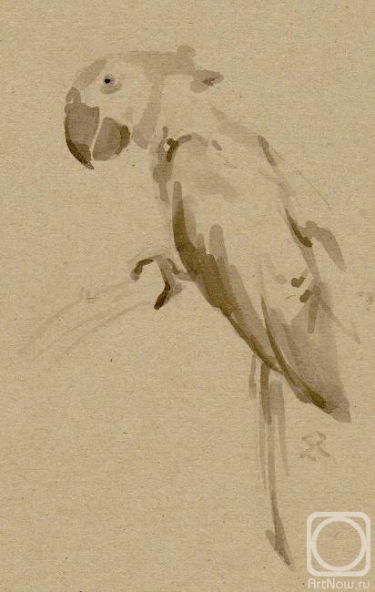 �������. ������� ����. �������