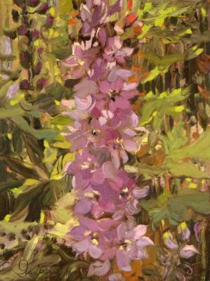 ������� ����� ����